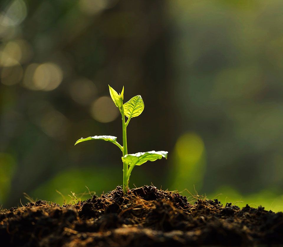 Soil and Water Conservation Society Southern New England Chapter